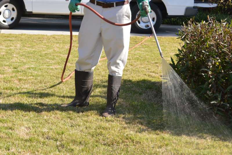 Drone-Based Pest Surveillance